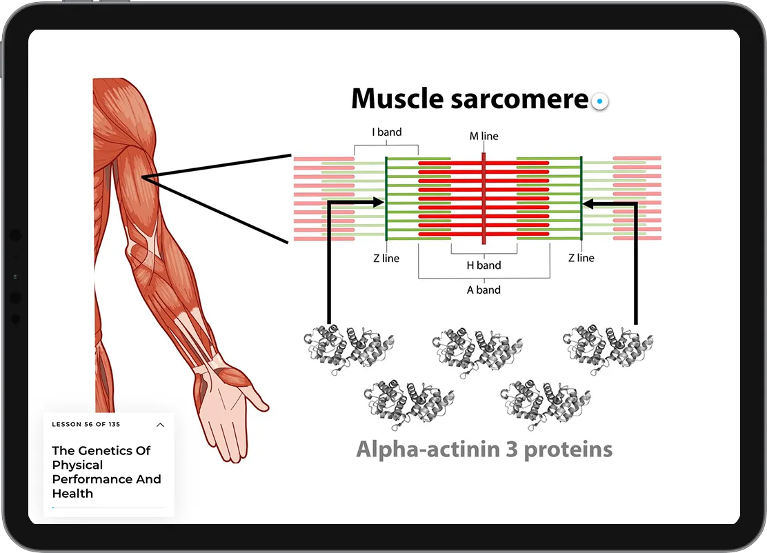 Module 2: Why your clients respond differently: the genes behind performance